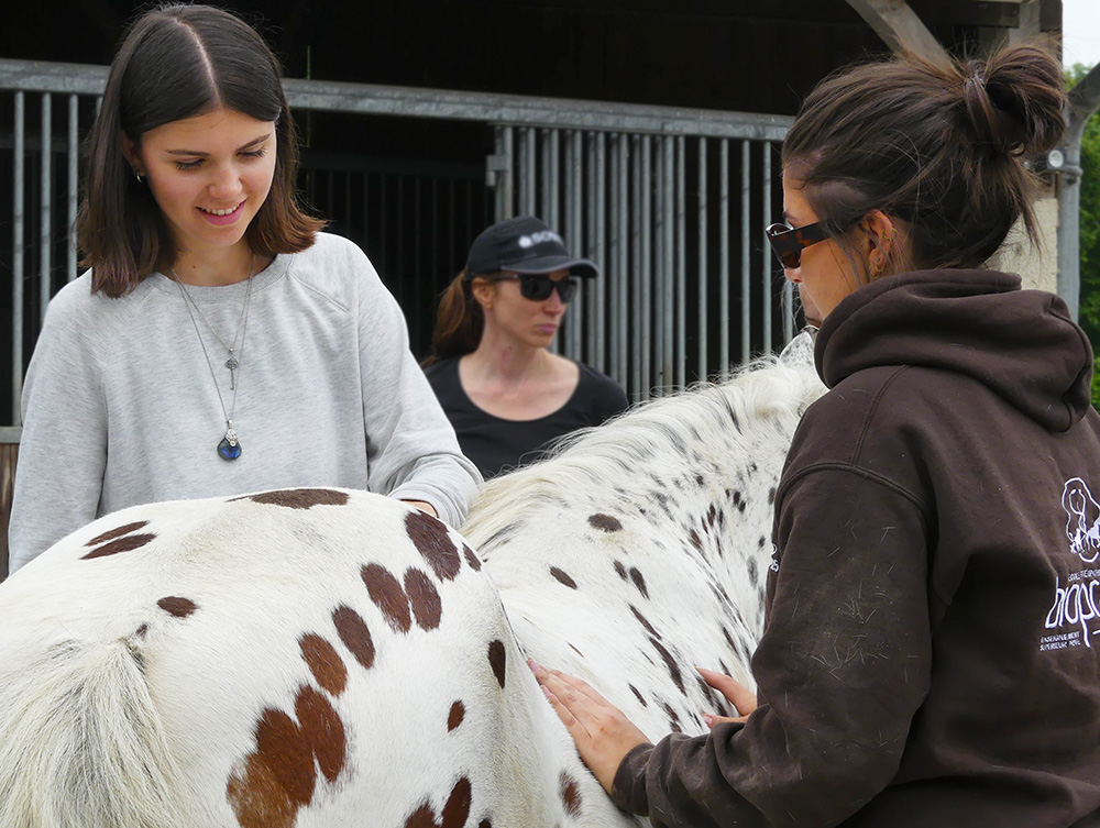 BIOPRAXIA Cluny (71) Proximité directe du Haras national de Cluny