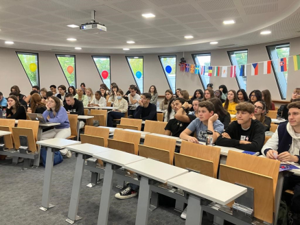 Bachelor Business et Marketing