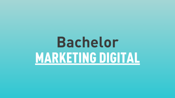 Bachelor Marketing Digital