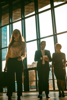 BTS CI (Commerce International