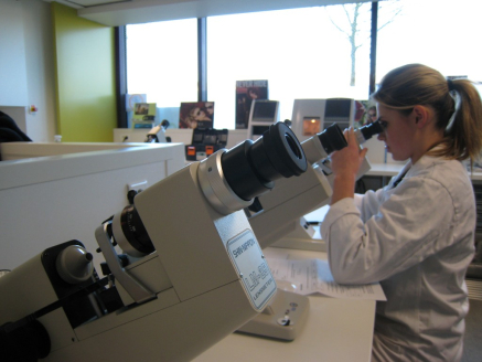 BTS Opticien Lunetier