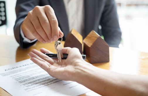 Bachelor Immobilier