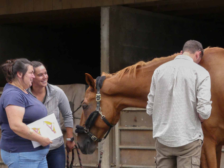 OSTÉOPATHE ANIMALIER - Cursus enseignement supérieur privé