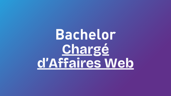 Bachelor Chargé d'Affaires Web