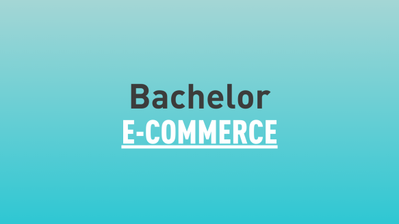 Bachelor E-commerce
