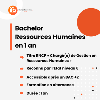 Bachelor Ressources Humaines