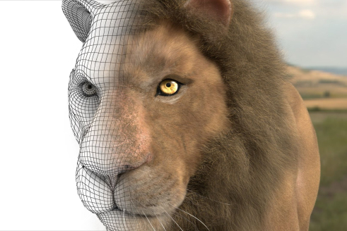 Animation 3D
