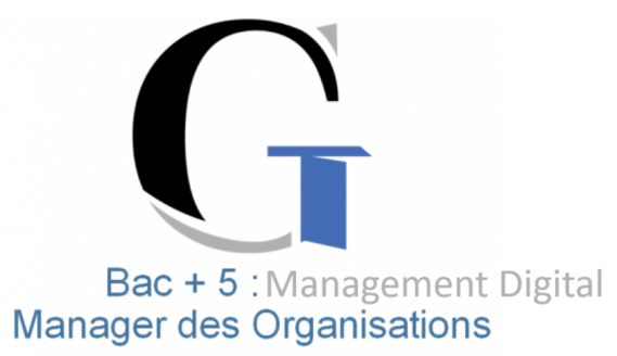 Bac + 5 Management Digital - Manager des Organisations
