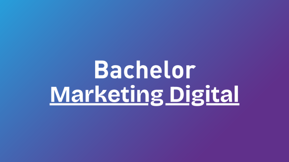 Bachelor Marketing Digital