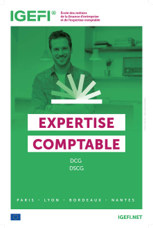 DCG - Diplôme de Comptabilité et de Gestion