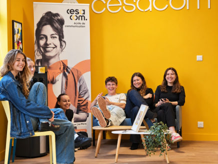 Bachelor Communication, Contenus & Création