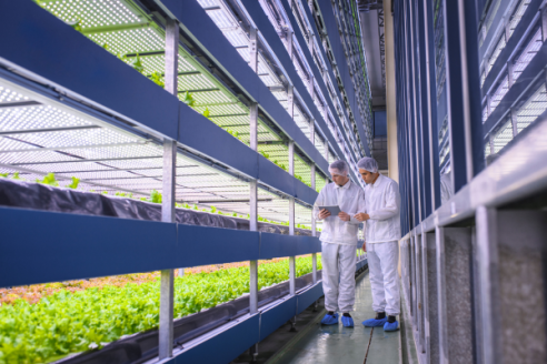 MBA Management D'affaires Agroalimentaires