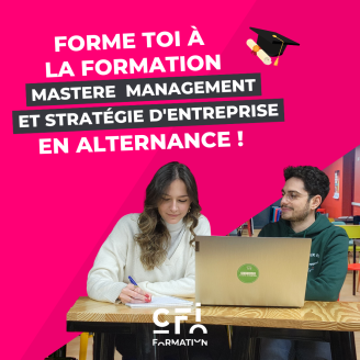Mastère Européen Management et Stratégie d’Entreprise