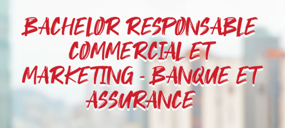 Bachelor Conseiller Clientèle Omnicanal Bancassurance