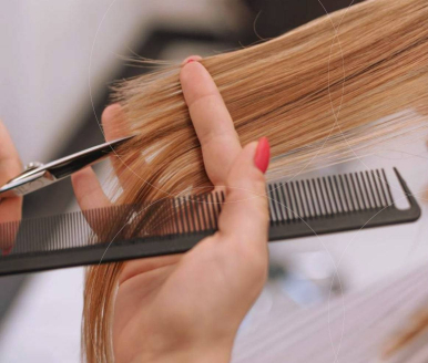 Bac Professionnel Métiers de la Coiffure