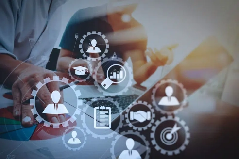 Licence Gestion des Organisations (LGO)