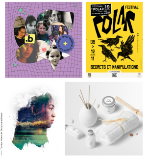 Cycle Professionnel Design Graphique Plurimédia