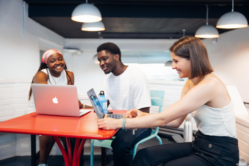 Bachelor droit des entreprises