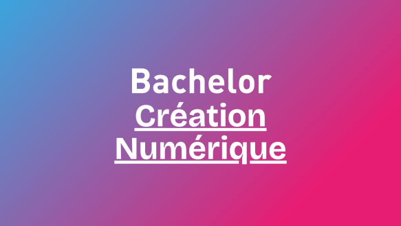 Bachelor Création numérique