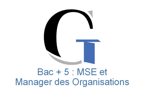Mastère Européen Management et Stratégie d'Entreprise et Manager des Organisations