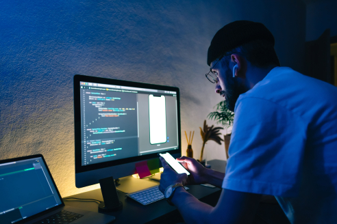 Titre Professionnel Développeur Web et Web Mobile