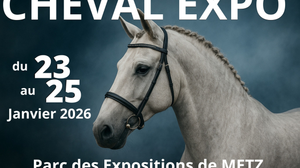 Salon Cheval Expo 2026 à Metz