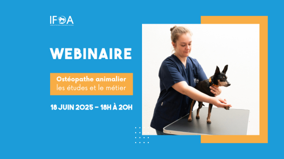 Webinaire 