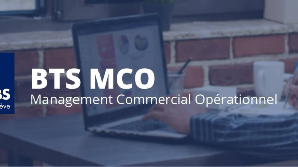 BTS MCO – Management Commercial Opérationnel