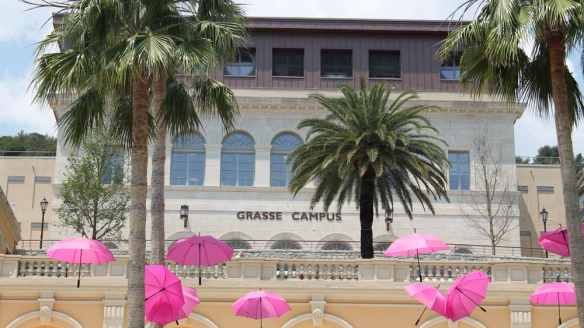 ICL, l'Ecole des Business Developers Grasse (06)