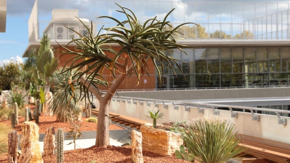 CINECREATIS Montpellier (34) Ecoles Créatives