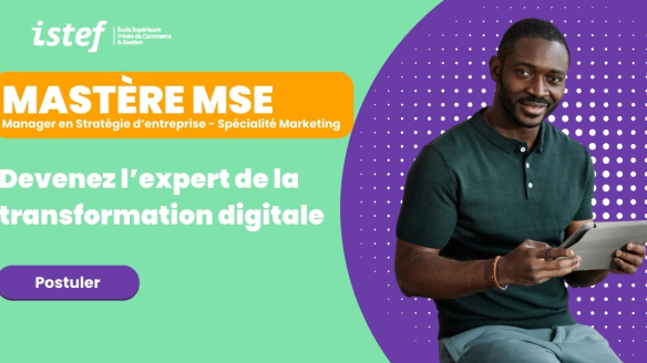 Mastère Manager en Stratégie d'Entreprise - Option Marketing