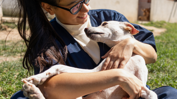Webinaire "Comment mon animal doit-il consulter l'ostéo ?"