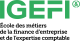 IGEFI